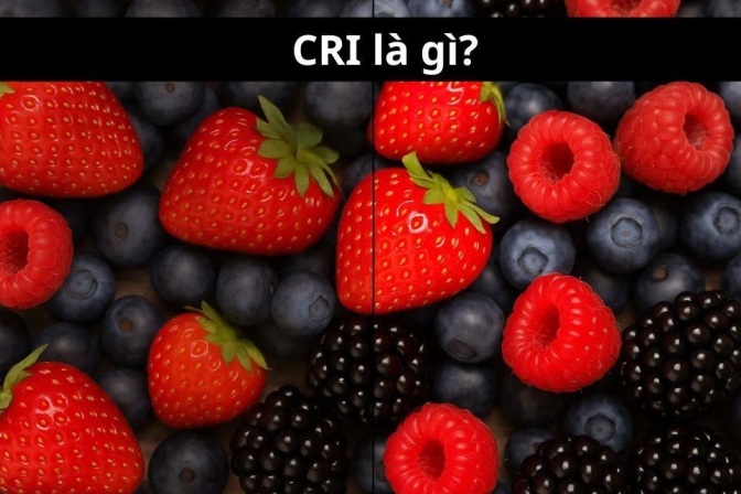 CRI là gì? Chỉ số hoàn màu có vai trò gì khi chọn đèn LED?