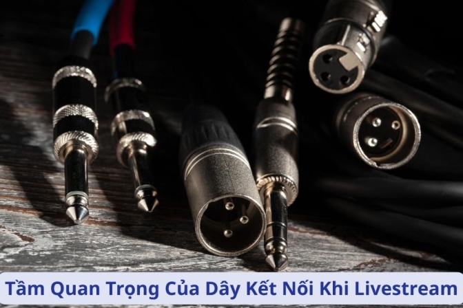 Vì Sao Dây Kết Nối Là Thành Phần Không Thể Thiếu Trong Livestream?