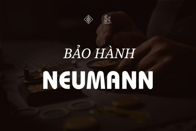 Sửa Thiết Bị Neumann Sai Nơi: Bạn Đang Đánh Đổi Điều Gì?