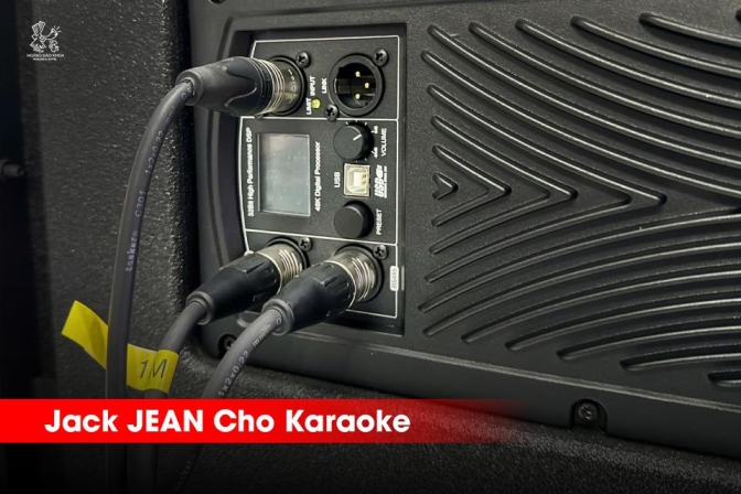 Jack Kết Nối Cho Karaoke | REAN – Dễ Thi Công, Bền Lâu, Chi Phí Tốt