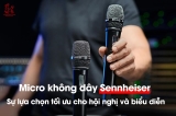 Micro không dây Sennheiser – Lựa chọn đáng tin cậy cho biểu diễn và hội nghị