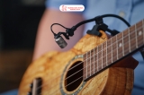 Paul Gatehouse chia sẻ góc nhìn về Neumann MCM