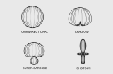 Cách Chọn Pickup Pattern Cho Micro Sennheiser: Omni, Cardioid, Supercardioid Và Shotgun