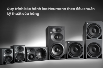 Tiêu Chuẩn Quy Trình Bảo Hành Loa Neumann Trong Thực Tế