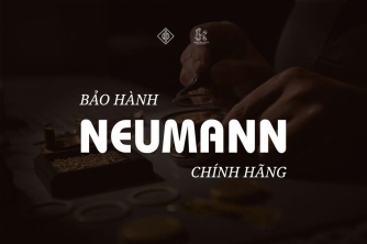 Sự Khác Biệt Giữa Bảo Hành Chính Hãng Neumann Và Sửa Chữa Thông Thường